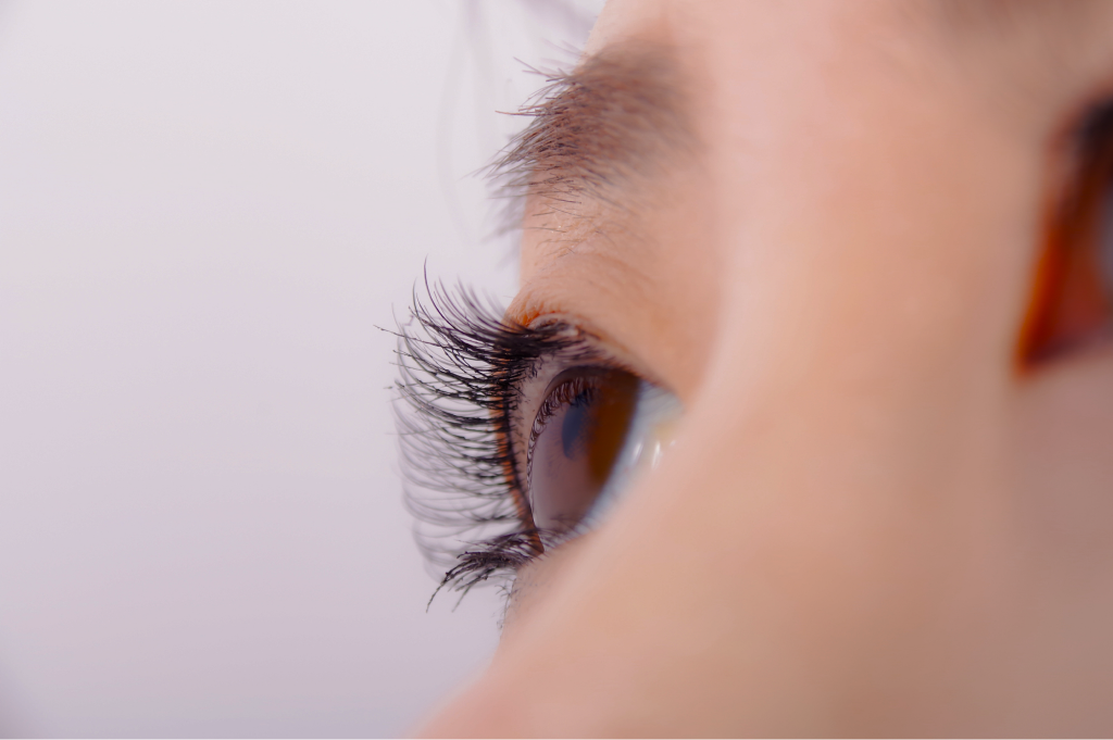 EYELASH